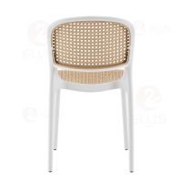 Dining Chair Plastics PC1033