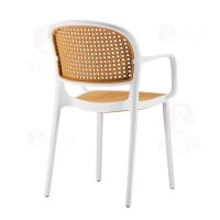 Arm Dining Chair Plastics PC1033A