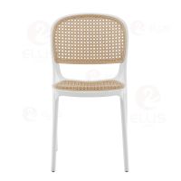 Dining Chair Plastics PC1033