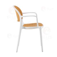 Arm Dining Chair Plastics PC1033A